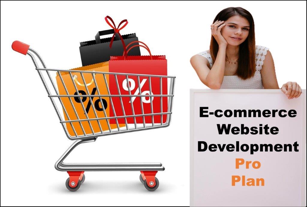 professional ecommerce website development agency in Nashville Tennessee